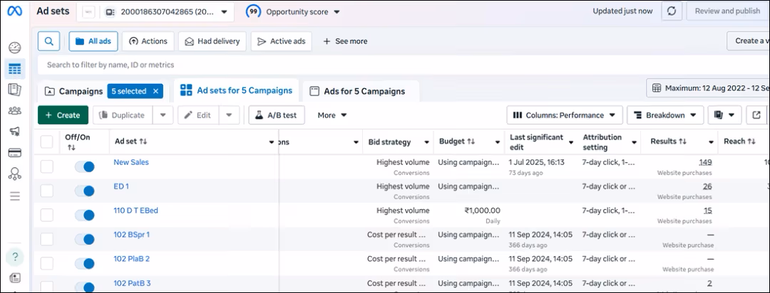 Meta Ads Result